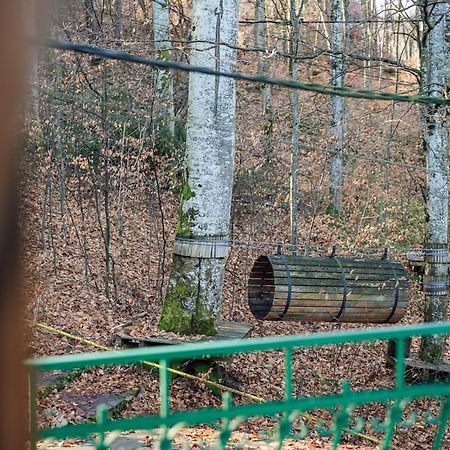 Szandy Sovata Eksteriør billede